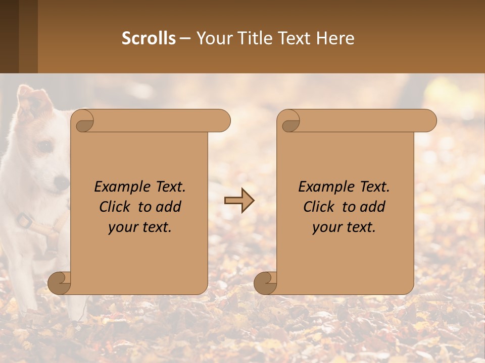 A Small Dog Is Standing In The Leaves PowerPoint Template