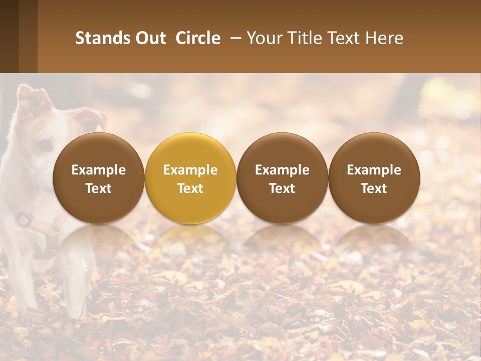 A Small Dog Is Standing In The Leaves PowerPoint Template