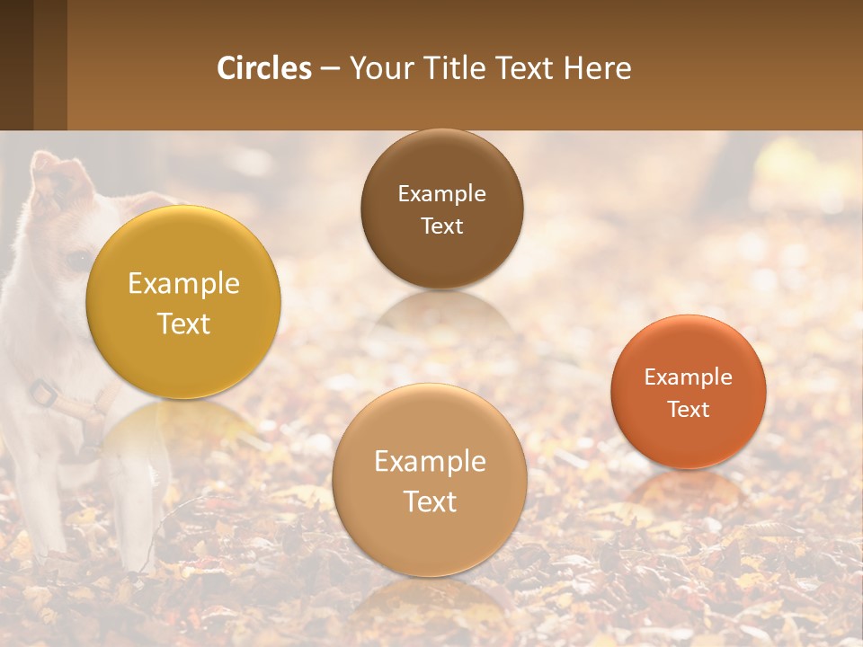 A Small Dog Is Standing In The Leaves PowerPoint Template