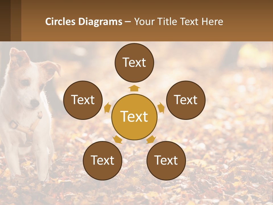 A Small Dog Is Standing In The Leaves PowerPoint Template