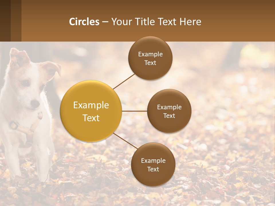 A Small Dog Is Standing In The Leaves PowerPoint Template