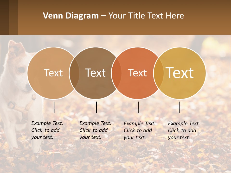 A Small Dog Is Standing In The Leaves PowerPoint Template