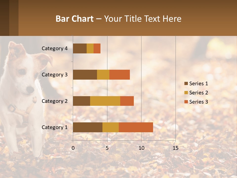A Small Dog Is Standing In The Leaves PowerPoint Template