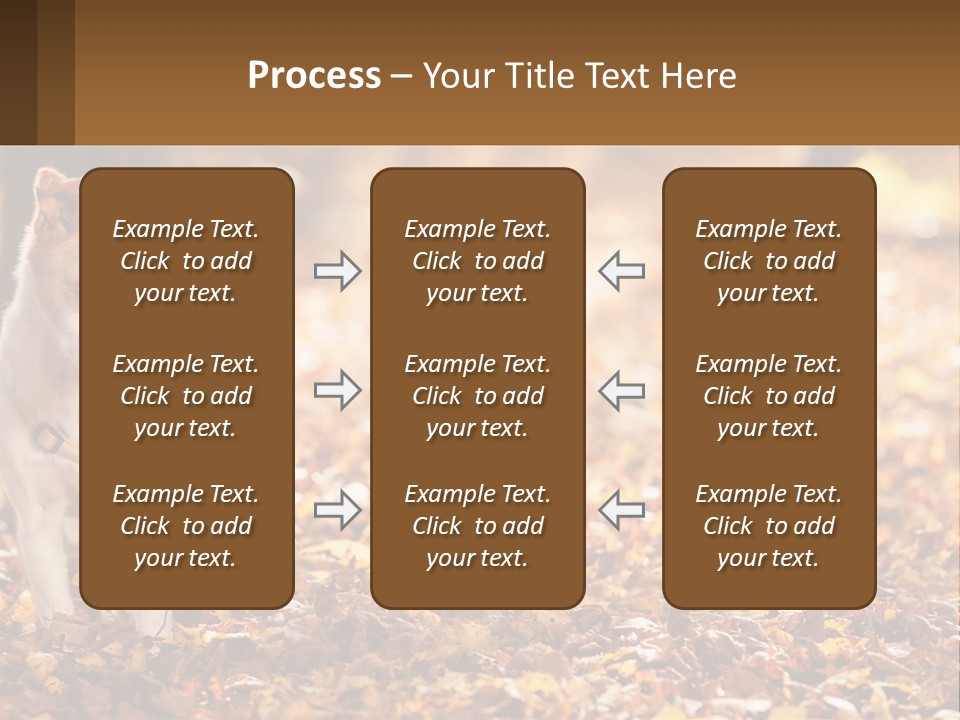 A Small Dog Is Standing In The Leaves PowerPoint Template