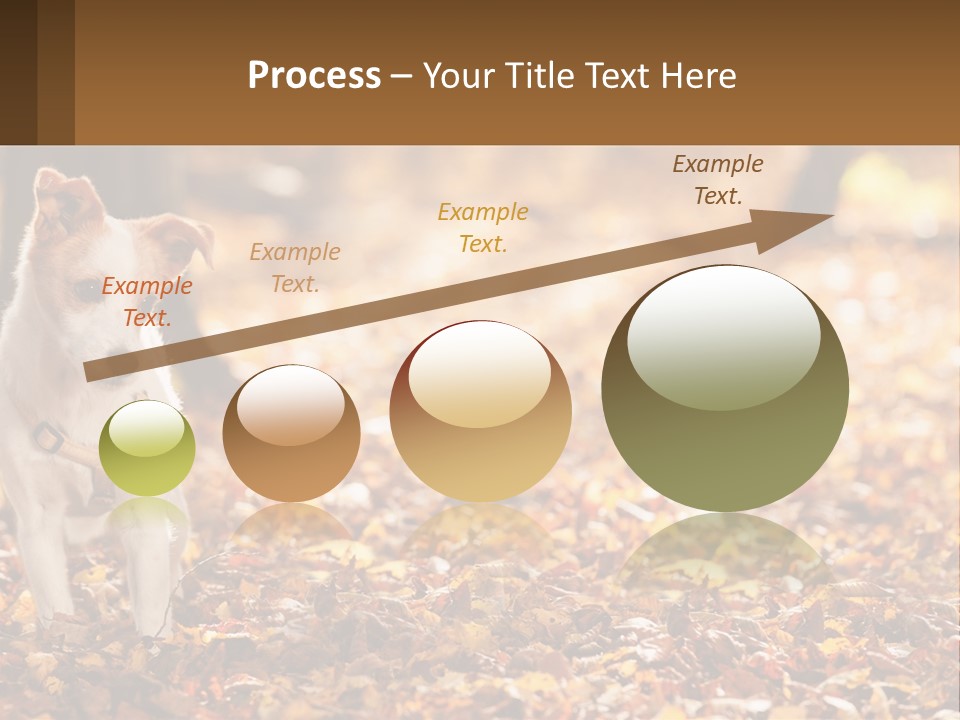 A Small Dog Is Standing In The Leaves PowerPoint Template