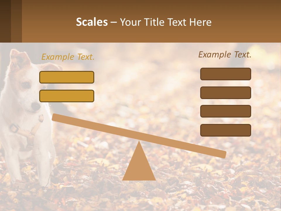 A Small Dog Is Standing In The Leaves PowerPoint Template