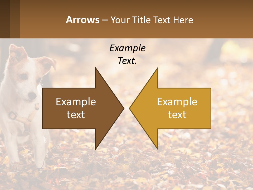 A Small Dog Is Standing In The Leaves PowerPoint Template