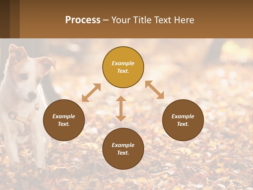 A Small Dog Is Standing In The Leaves PowerPoint Template