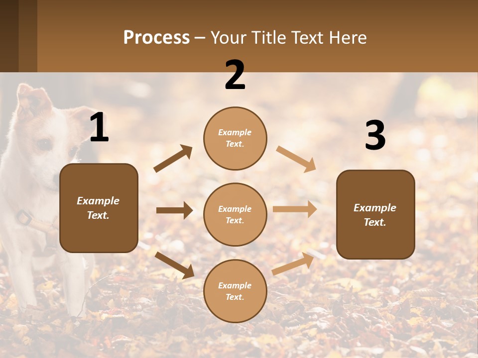 A Small Dog Is Standing In The Leaves PowerPoint Template