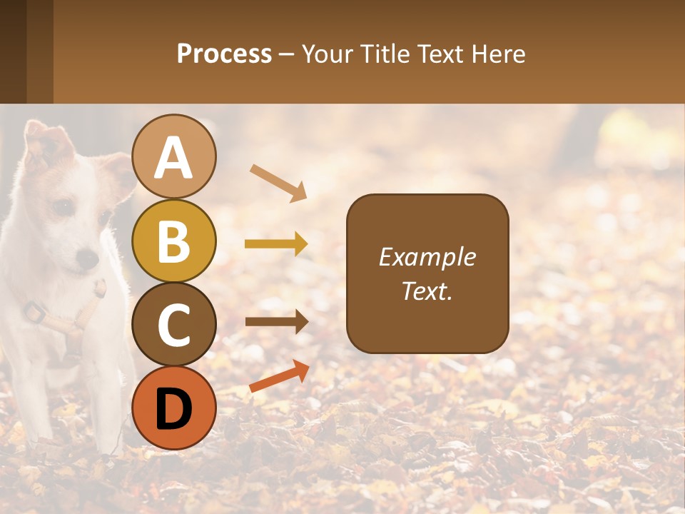 A Small Dog Is Standing In The Leaves PowerPoint Template