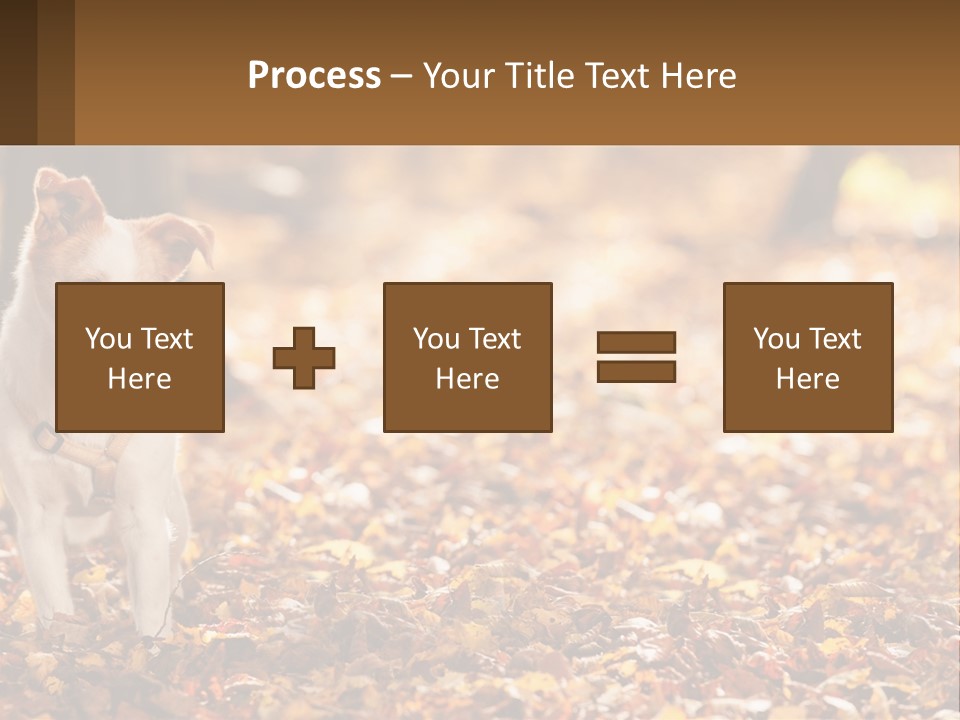 A Small Dog Is Standing In The Leaves PowerPoint Template