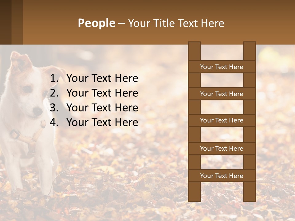 A Small Dog Is Standing In The Leaves PowerPoint Template