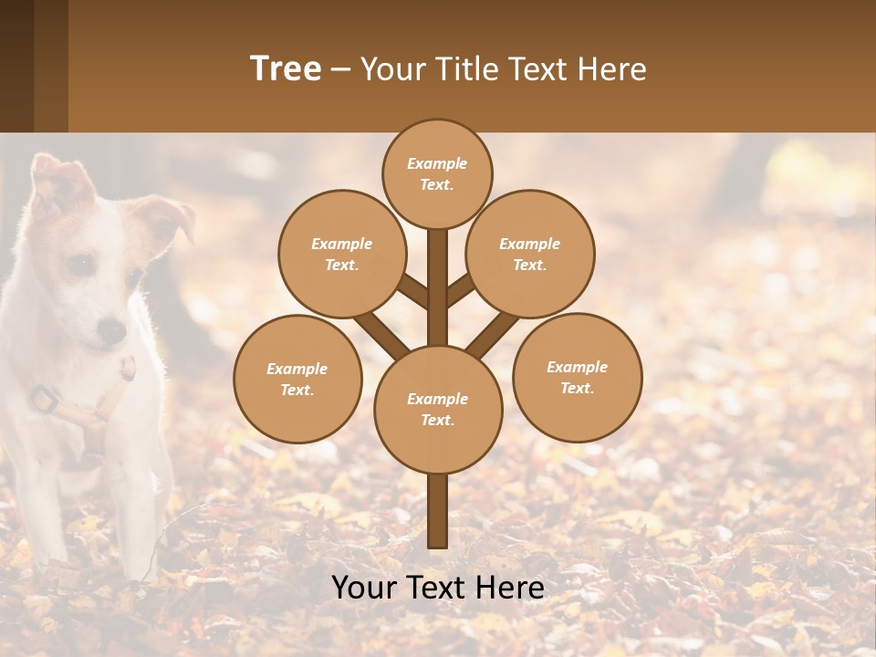 A Small Dog Is Standing In The Leaves PowerPoint Template