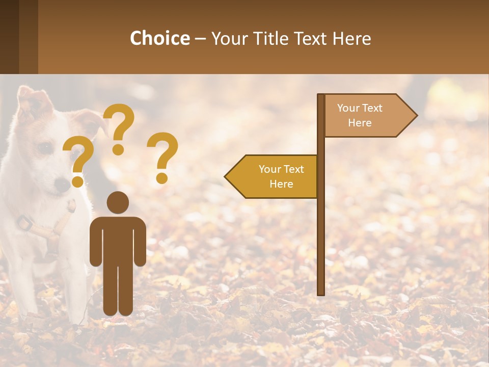 A Small Dog Is Standing In The Leaves PowerPoint Template