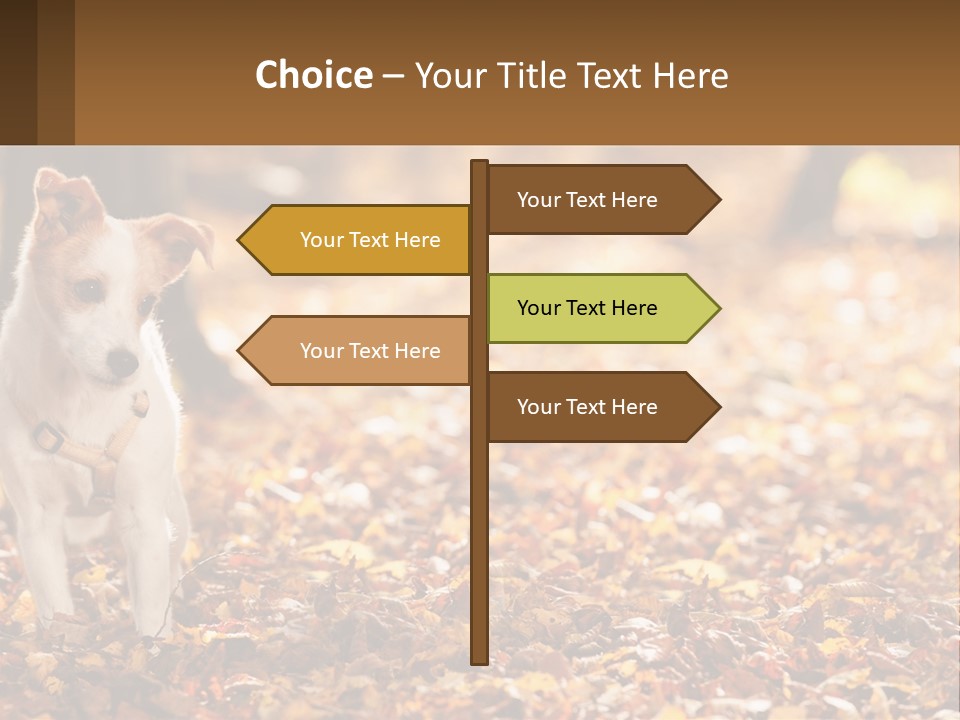 A Small Dog Is Standing In The Leaves PowerPoint Template