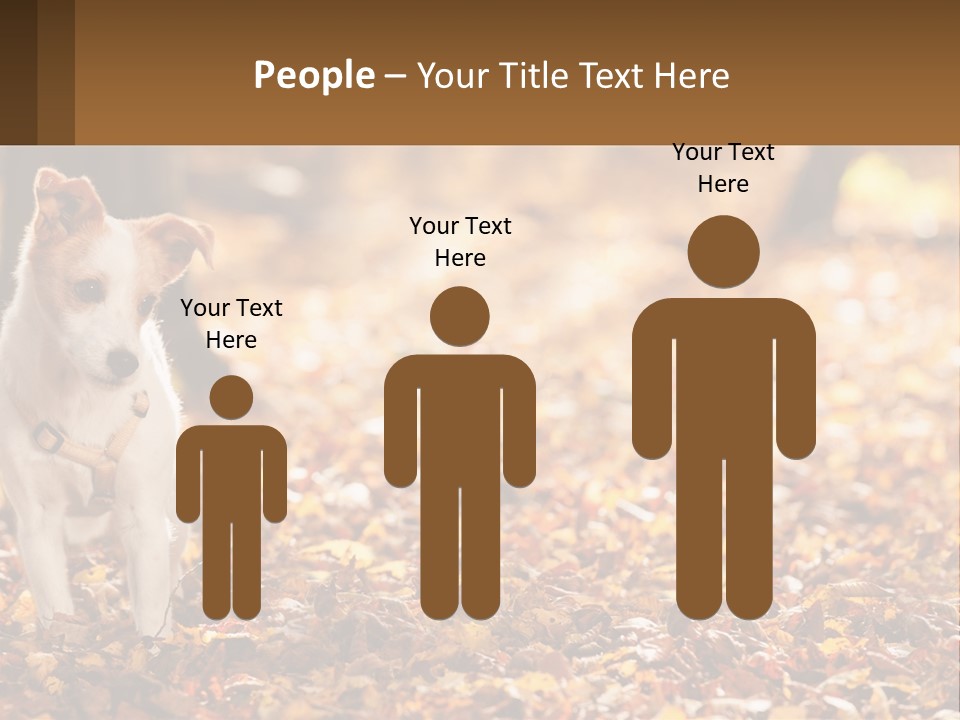 A Small Dog Is Standing In The Leaves PowerPoint Template