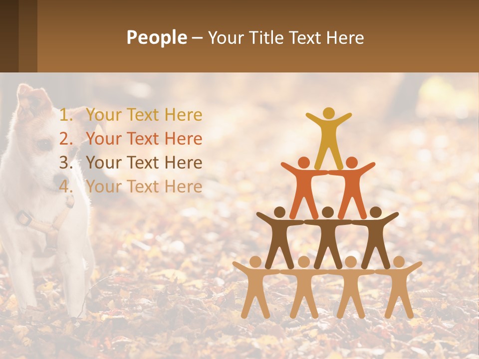 A Small Dog Is Standing In The Leaves PowerPoint Template