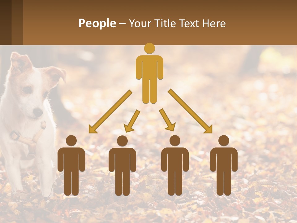 A Small Dog Is Standing In The Leaves PowerPoint Template