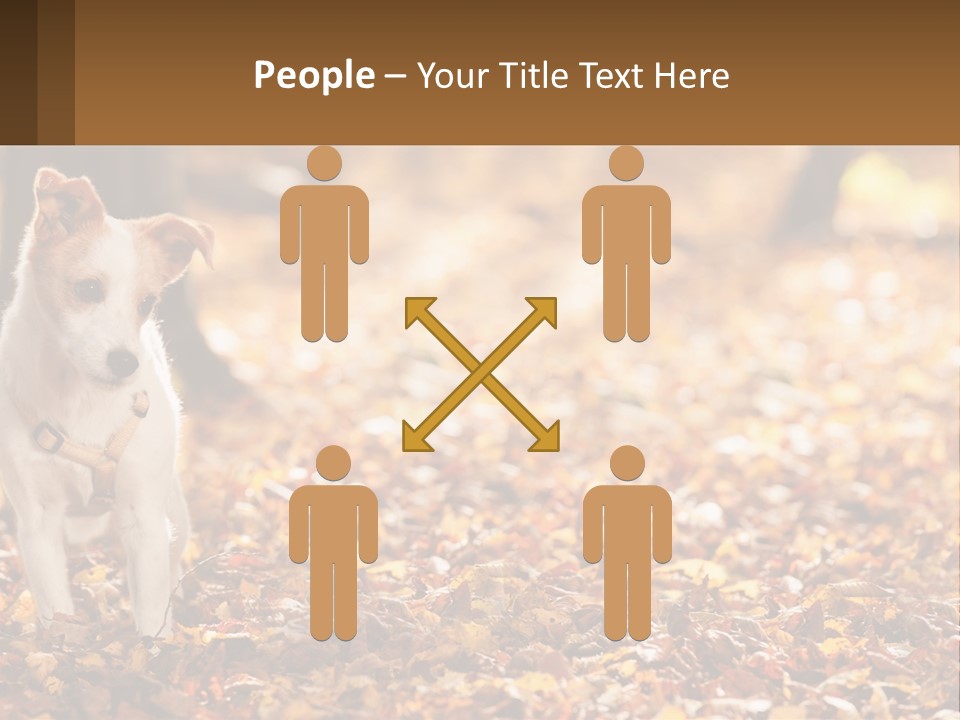 A Small Dog Is Standing In The Leaves PowerPoint Template
