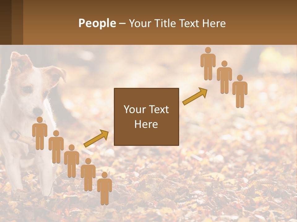 A Small Dog Is Standing In The Leaves PowerPoint Template