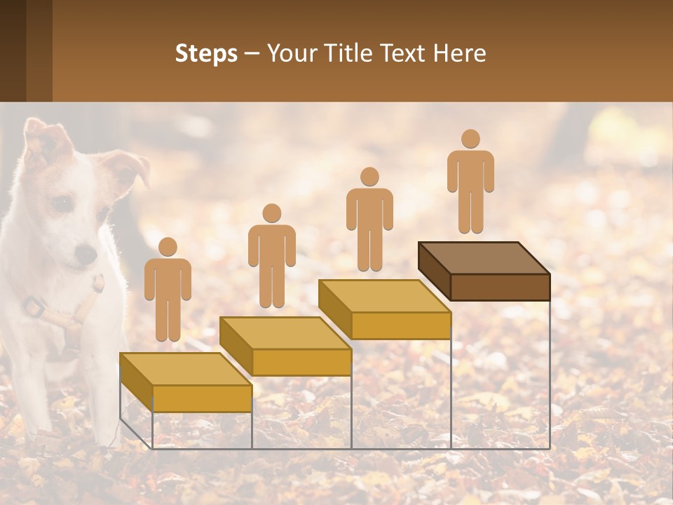 A Small Dog Is Standing In The Leaves PowerPoint Template