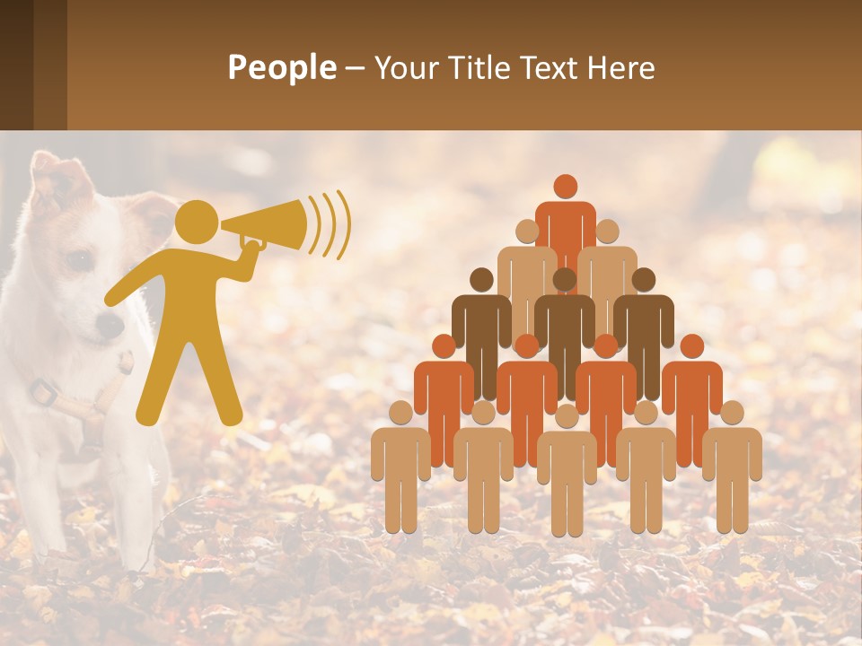 A Small Dog Is Standing In The Leaves PowerPoint Template