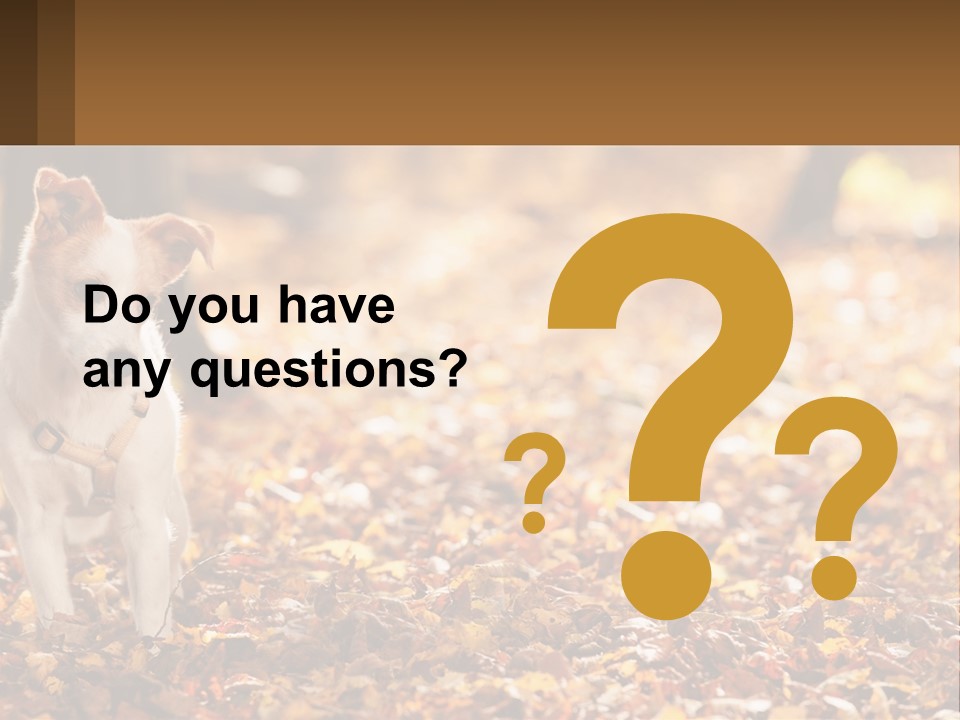 A Small Dog Is Standing In The Leaves PowerPoint Template