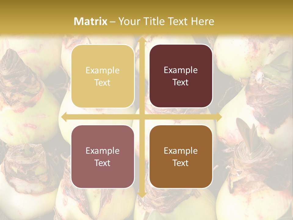 A Bunch Of Onions Sitting On Top Of A Table PowerPoint Template