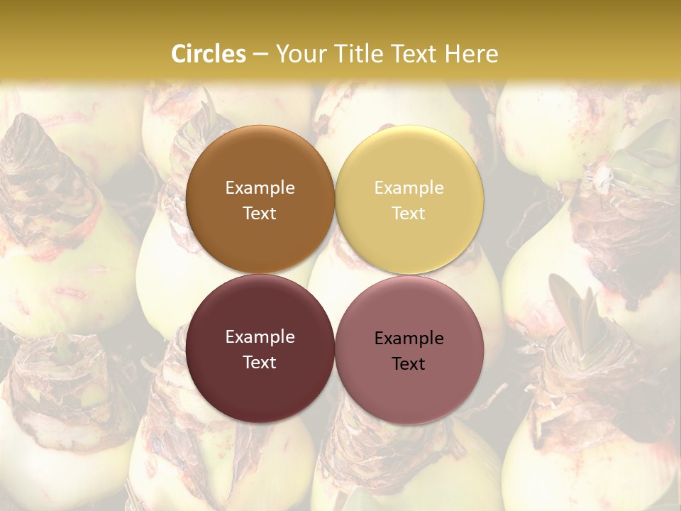 A Bunch Of Onions Sitting On Top Of A Table PowerPoint Template