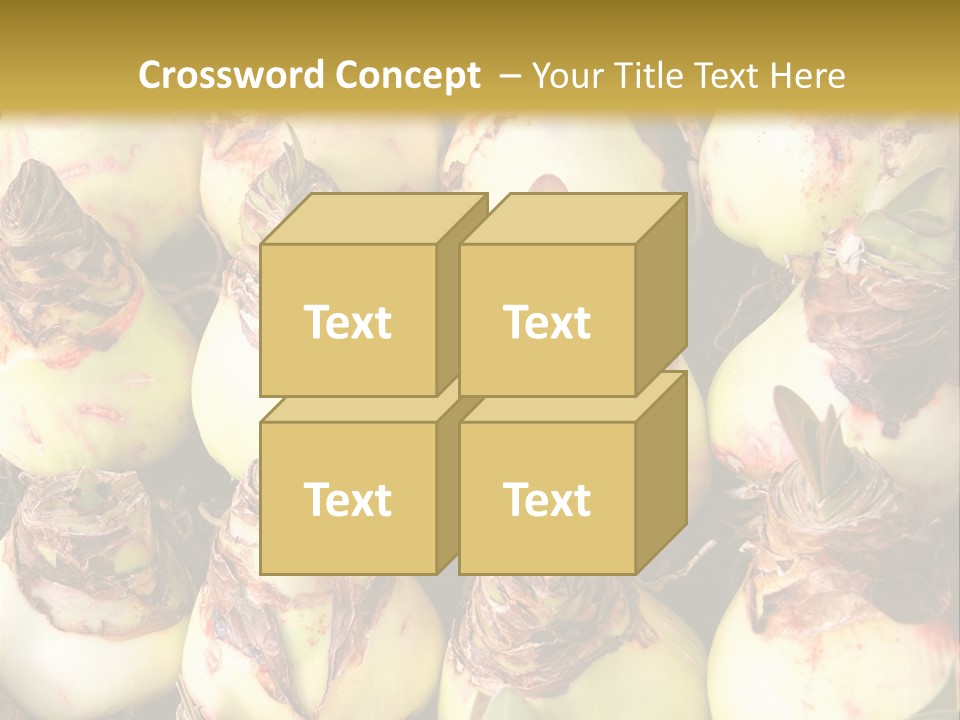 A Bunch Of Onions Sitting On Top Of A Table PowerPoint Template