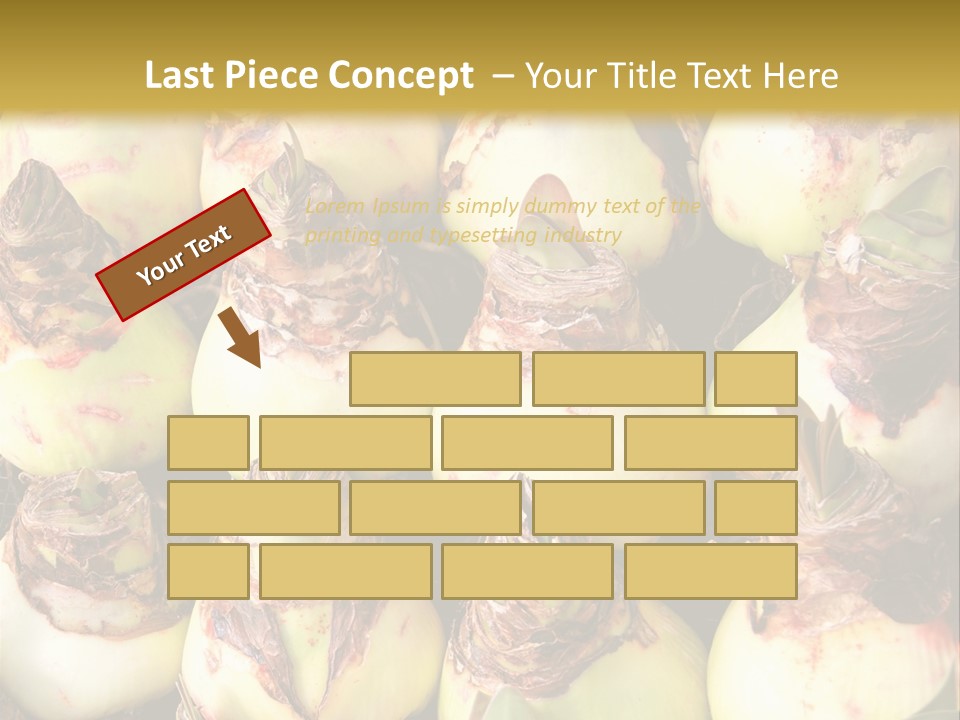 A Bunch Of Onions Sitting On Top Of A Table PowerPoint Template