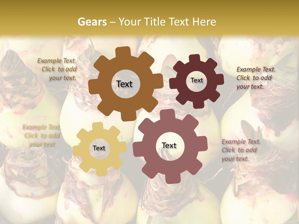 A Bunch Of Onions Sitting On Top Of A Table PowerPoint Template