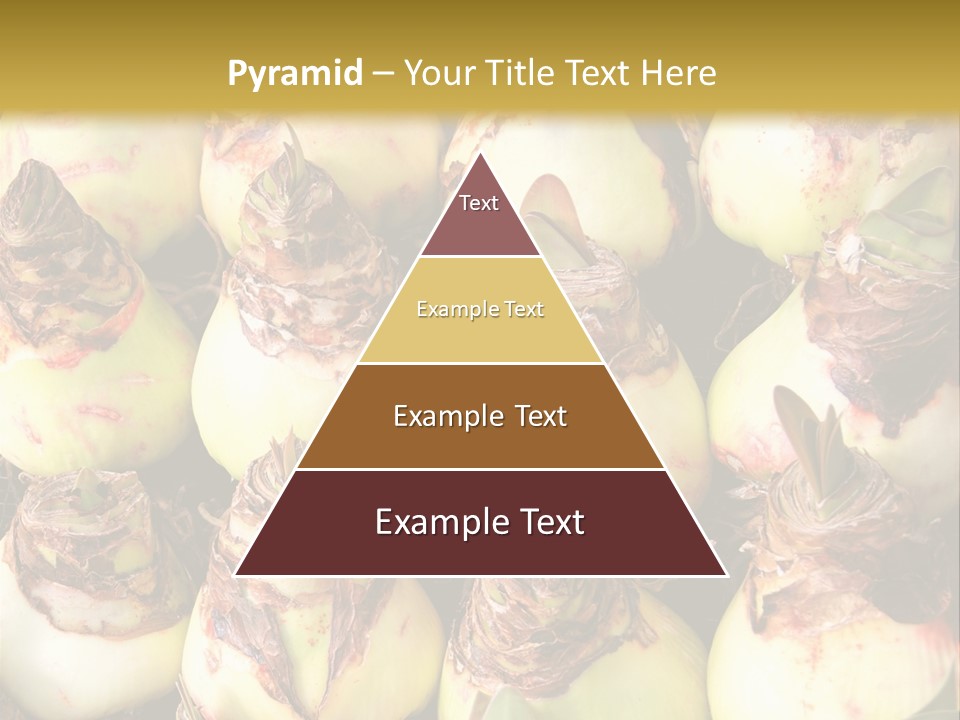 A Bunch Of Onions Sitting On Top Of A Table PowerPoint Template