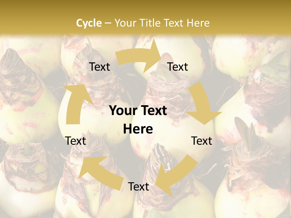 A Bunch Of Onions Sitting On Top Of A Table PowerPoint Template