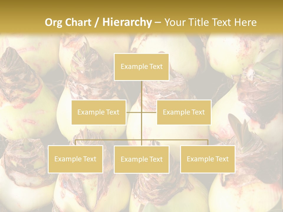 A Bunch Of Onions Sitting On Top Of A Table PowerPoint Template