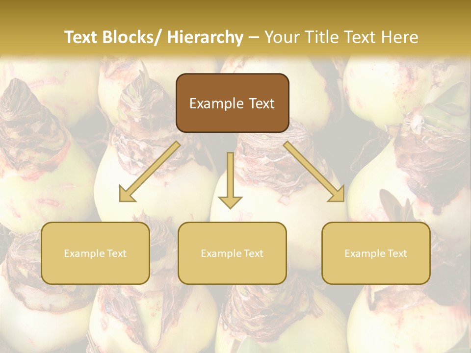 A Bunch Of Onions Sitting On Top Of A Table PowerPoint Template