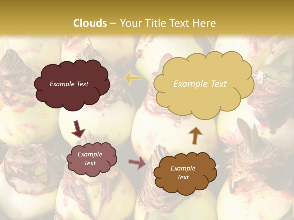 A Bunch Of Onions Sitting On Top Of A Table PowerPoint Template