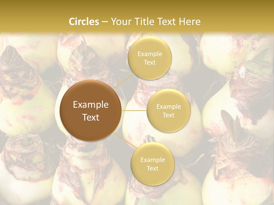 A Bunch Of Onions Sitting On Top Of A Table PowerPoint Template