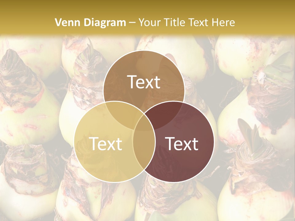 A Bunch Of Onions Sitting On Top Of A Table PowerPoint Template