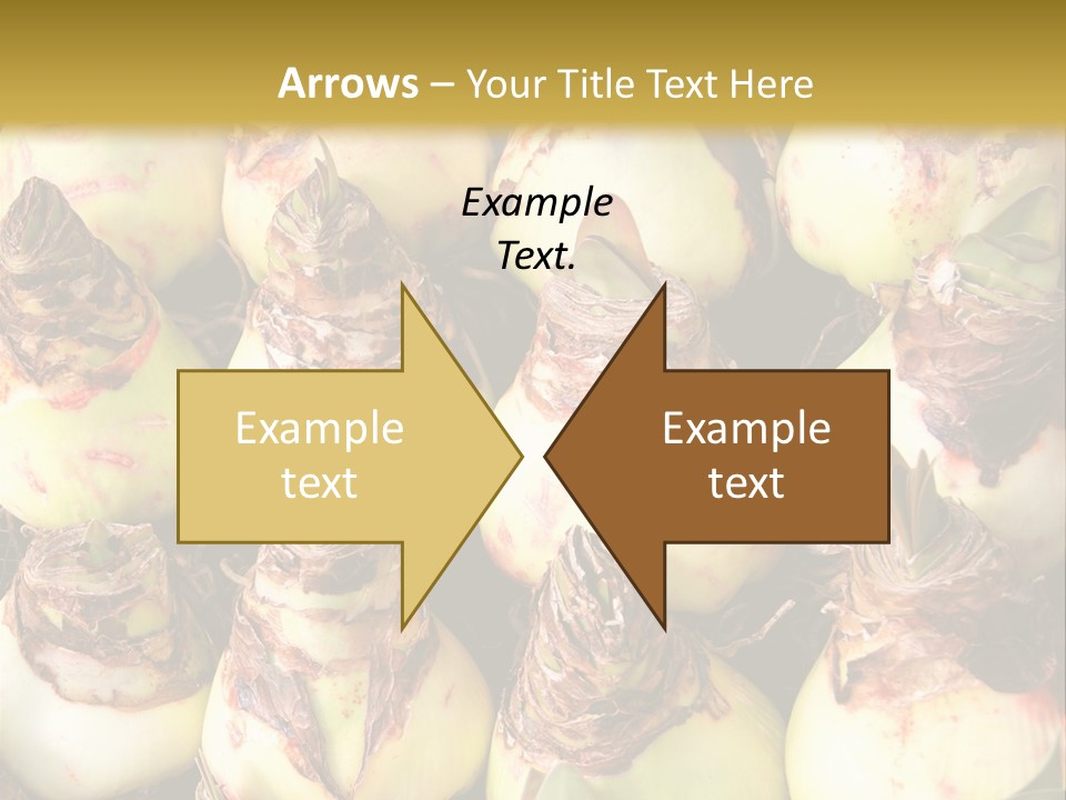 A Bunch Of Onions Sitting On Top Of A Table PowerPoint Template