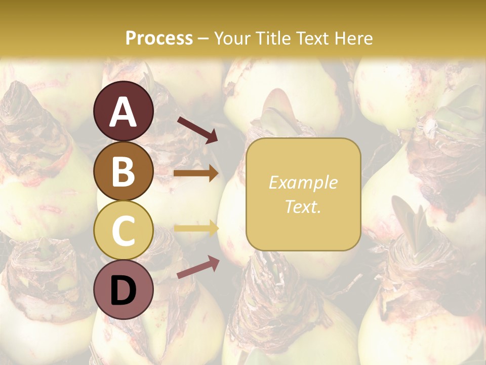 A Bunch Of Onions Sitting On Top Of A Table PowerPoint Template