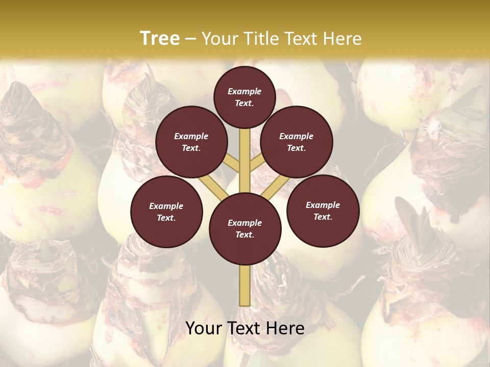 A Bunch Of Onions Sitting On Top Of A Table PowerPoint Template