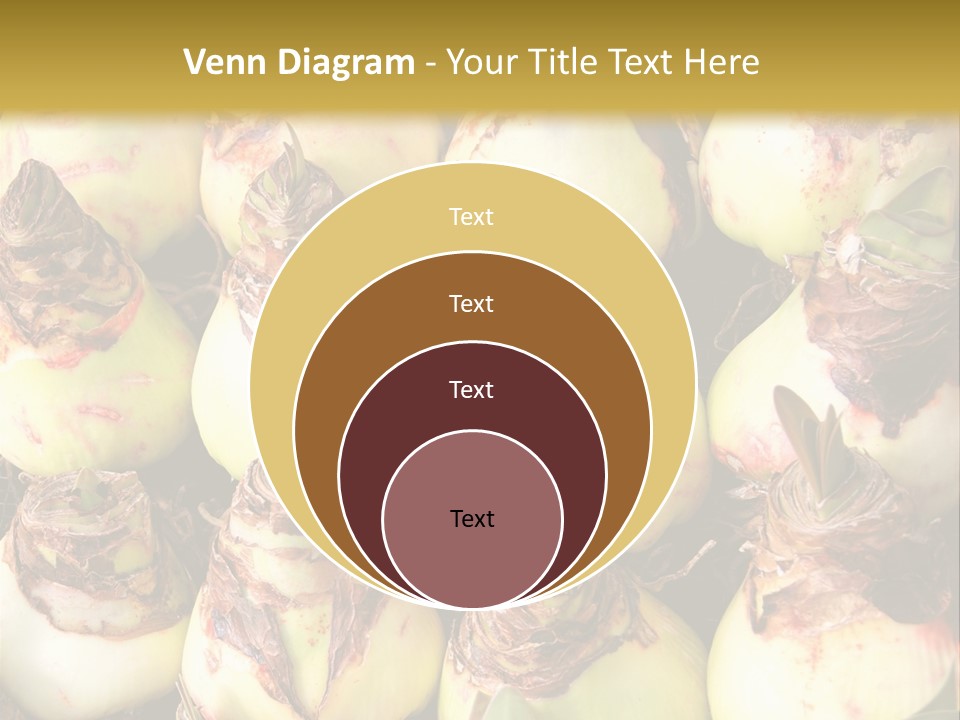 A Bunch Of Onions Sitting On Top Of A Table PowerPoint Template