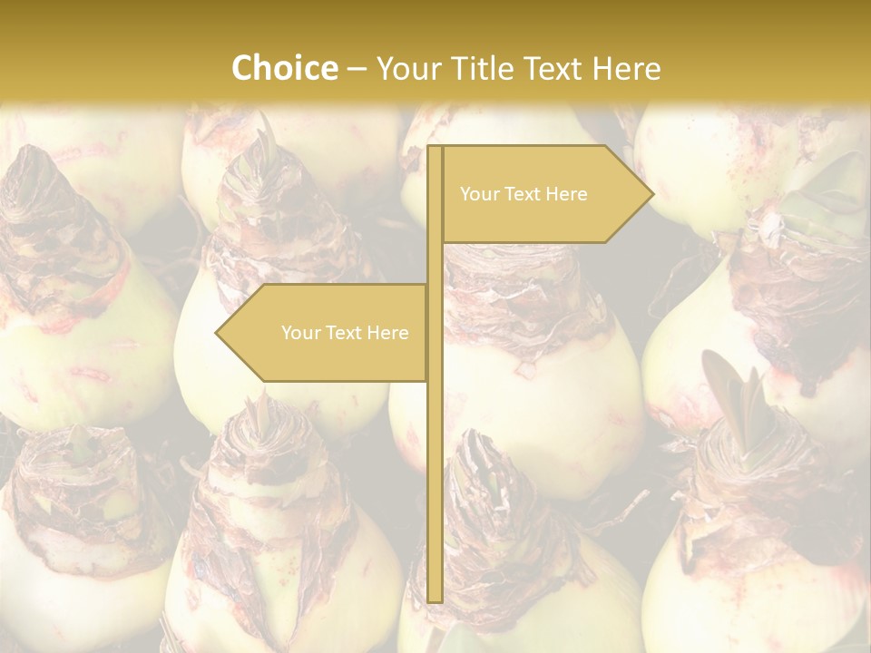 A Bunch Of Onions Sitting On Top Of A Table PowerPoint Template