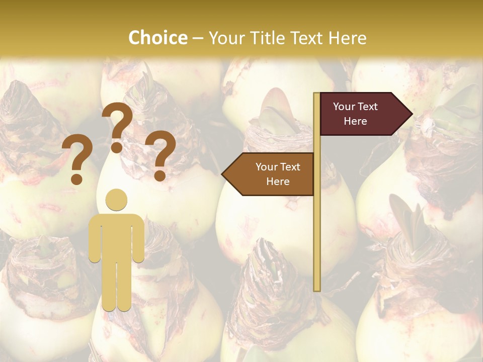 A Bunch Of Onions Sitting On Top Of A Table PowerPoint Template