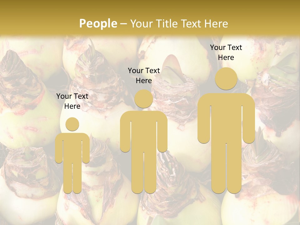 A Bunch Of Onions Sitting On Top Of A Table PowerPoint Template