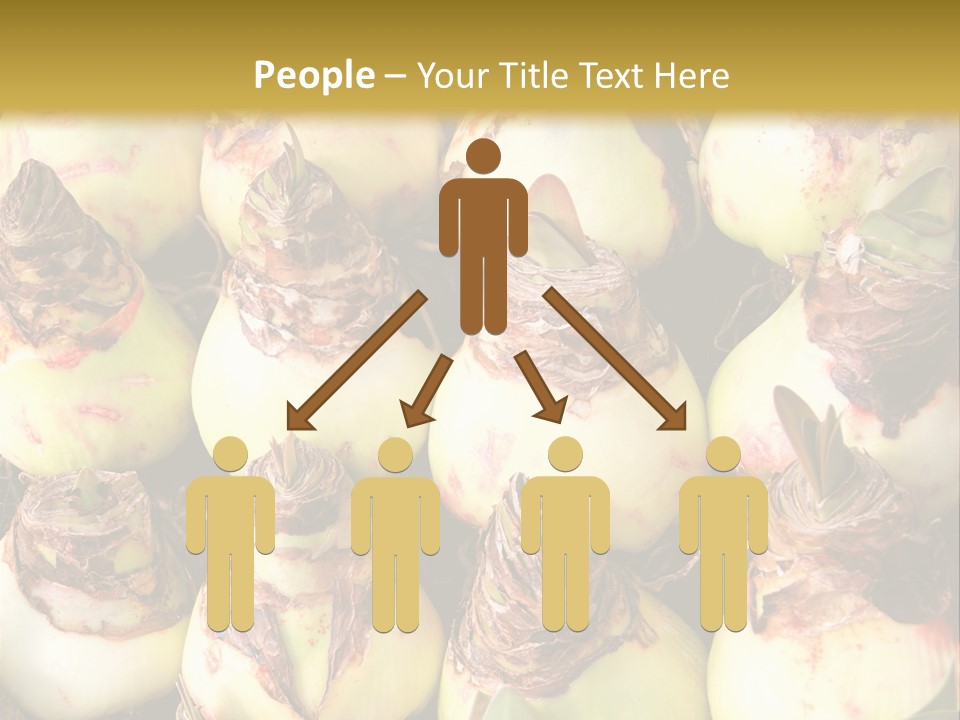 A Bunch Of Onions Sitting On Top Of A Table PowerPoint Template