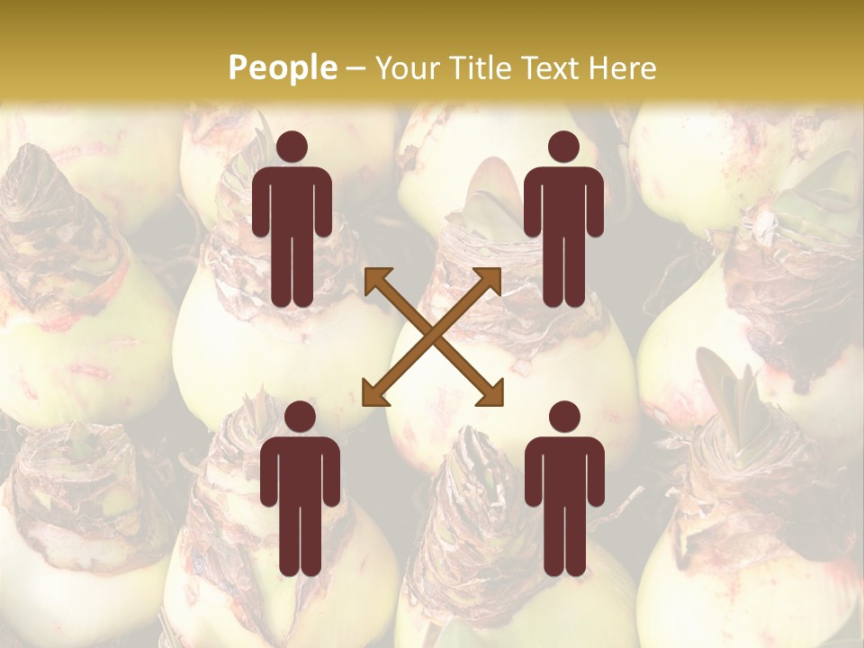 A Bunch Of Onions Sitting On Top Of A Table PowerPoint Template