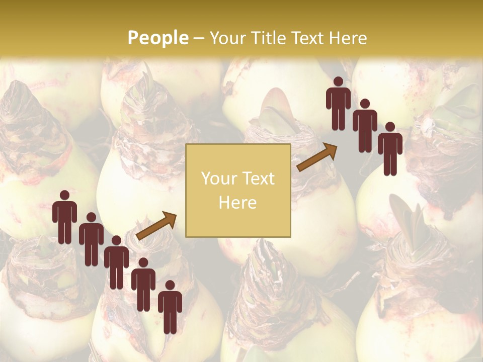 A Bunch Of Onions Sitting On Top Of A Table PowerPoint Template