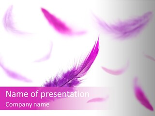 A Purple Feather Is Flying In The Air PowerPoint Template